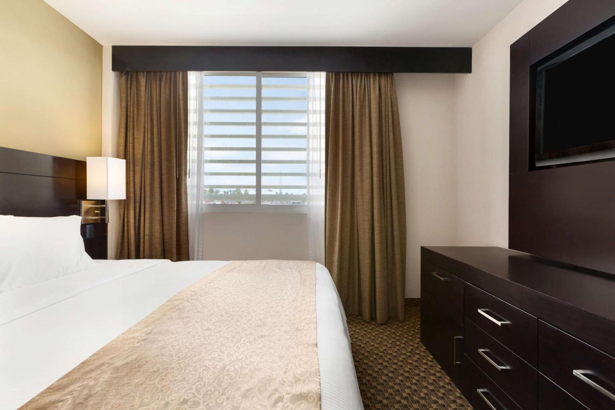 Junior King Suite - Non-Smoking,1273624354:JPEG