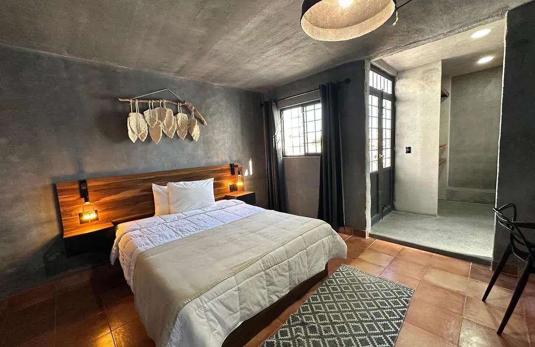 Hotel Damiana Boutique-1