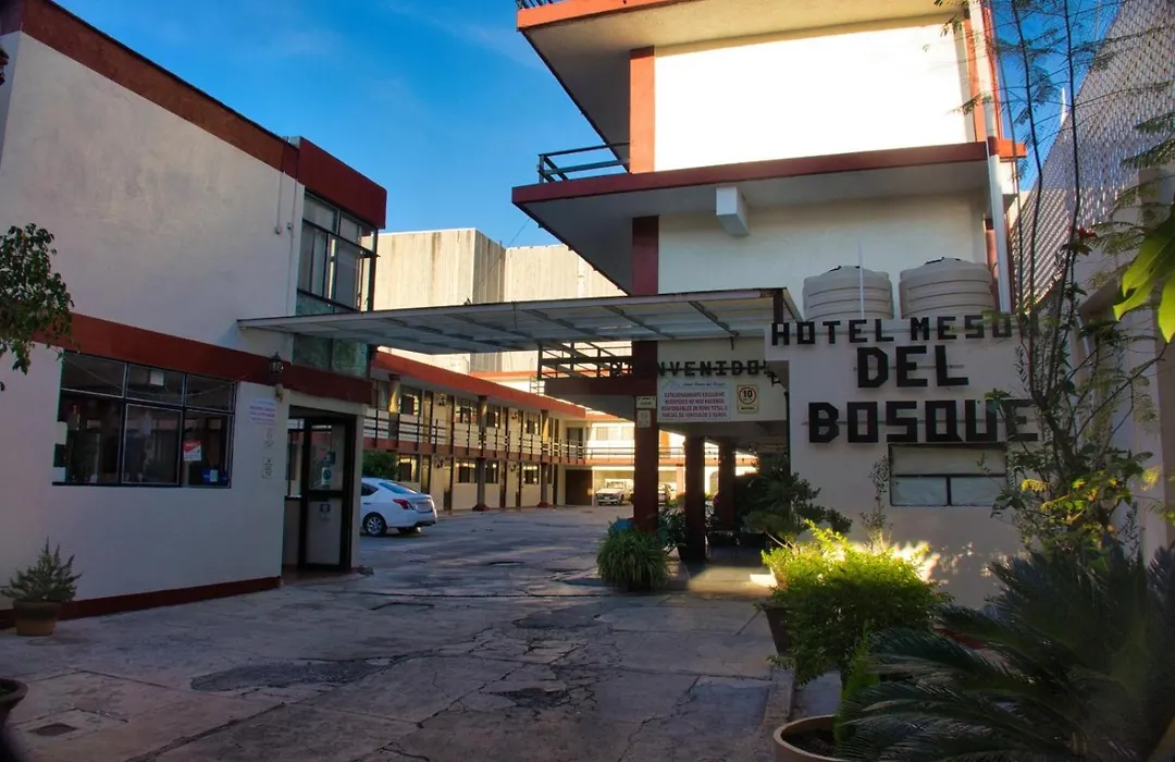 Hotel Mesón del Bosque-1