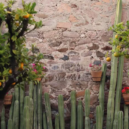 Hacienda Lagunillas-3